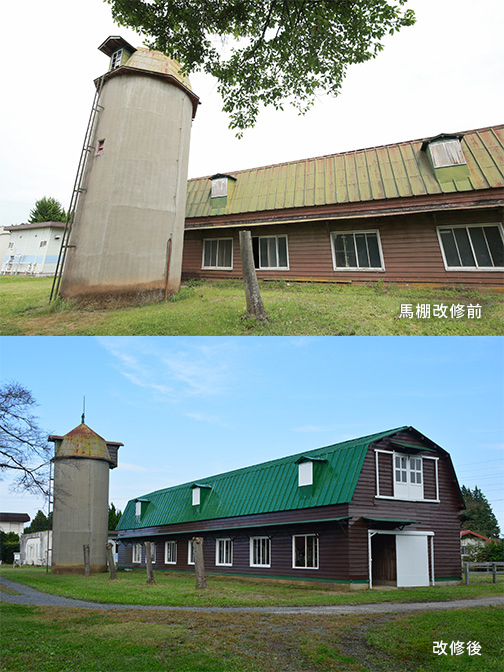 Before Renovation After Renovation